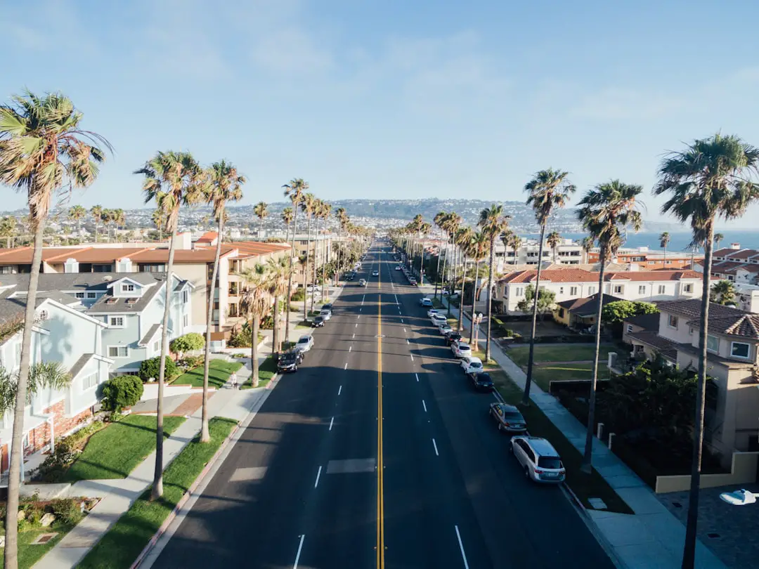 aerial photography of street